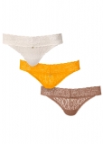 Venus Sugar And Spice Pearl by VENUS? Allover Lace Thong 3 Pack