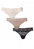 Venus Cherished Classics Pearl by VENUS? Allover Lace Thong 3 Pack